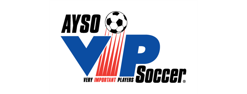 VIP Program